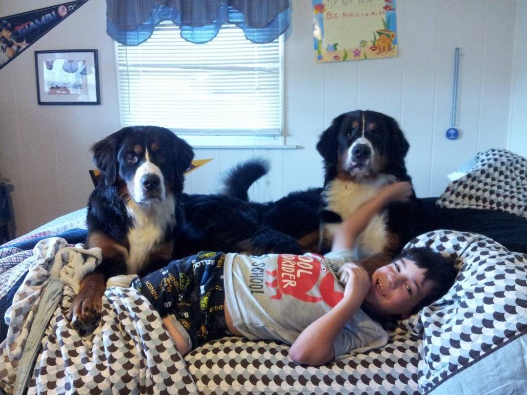 Tory and his pups.....yes puppies