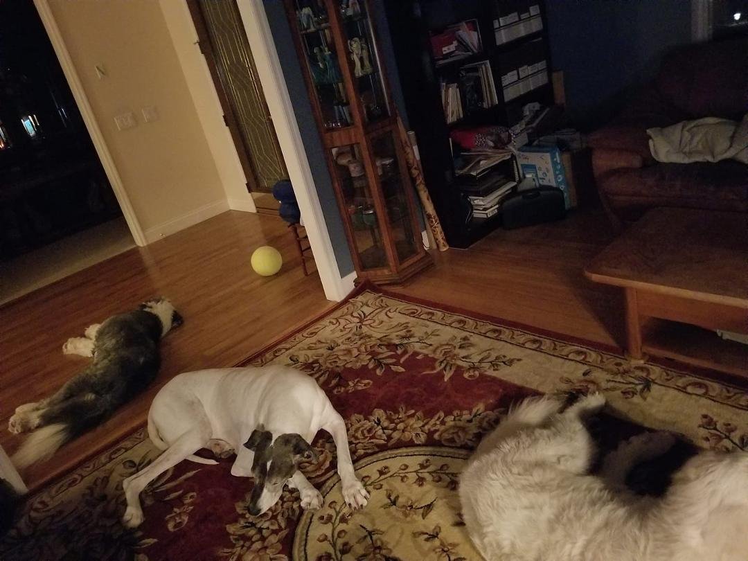 They have me surrounded tonight!! Awwww 🤗