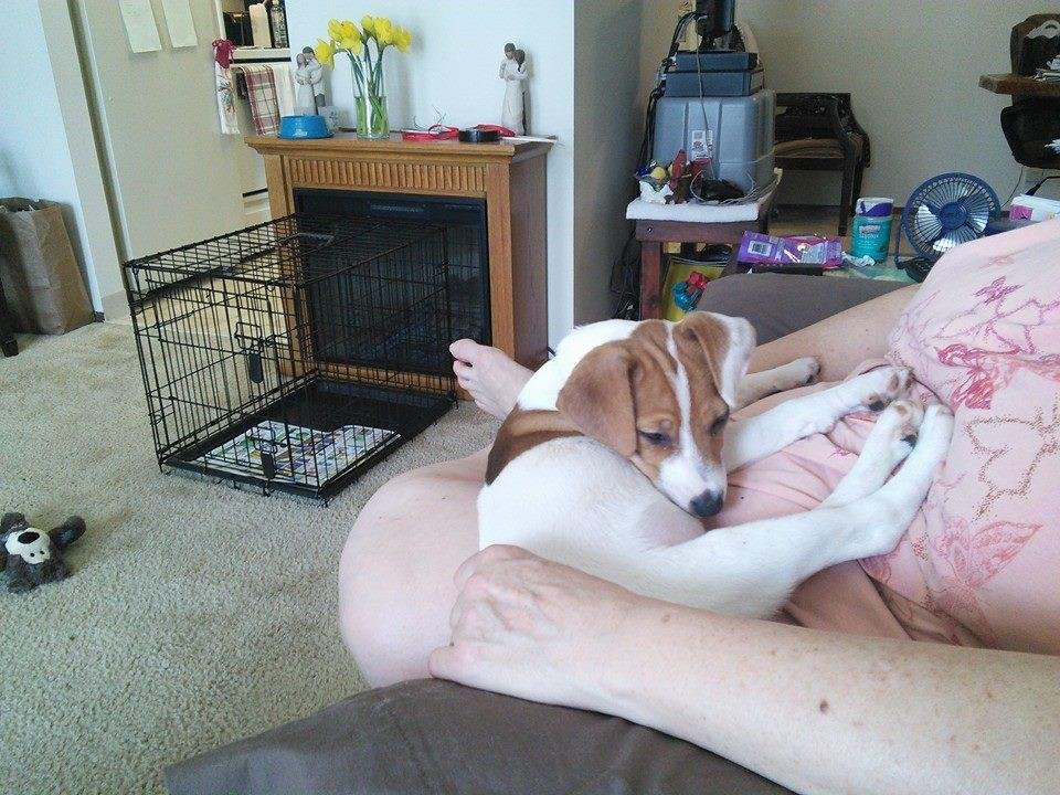 Missy! Moms baby girl💜