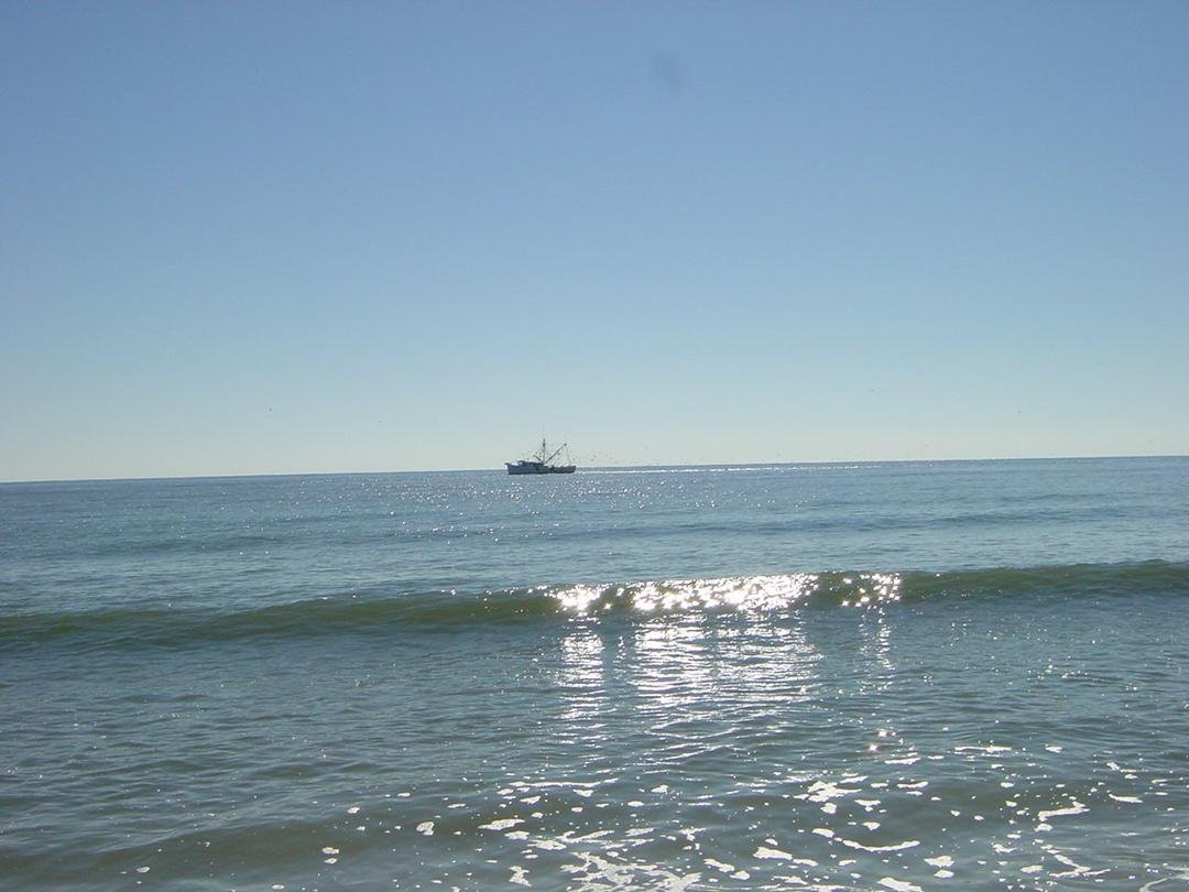 Some beach some where