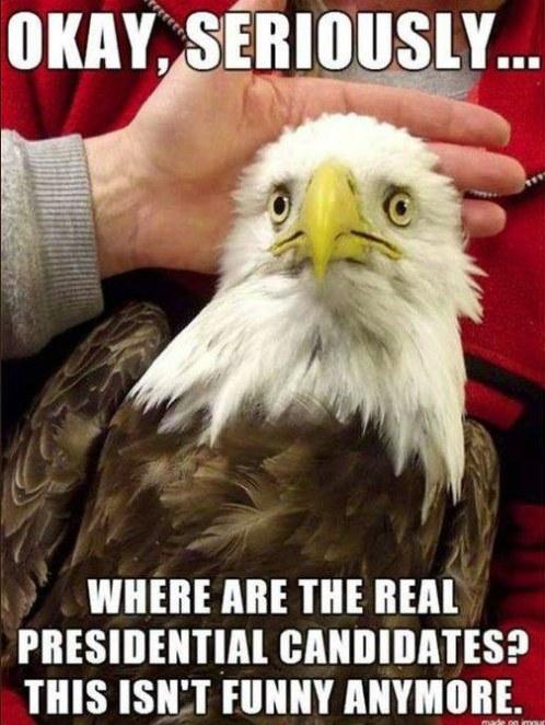 Max Daniel's album, Timeline photos
