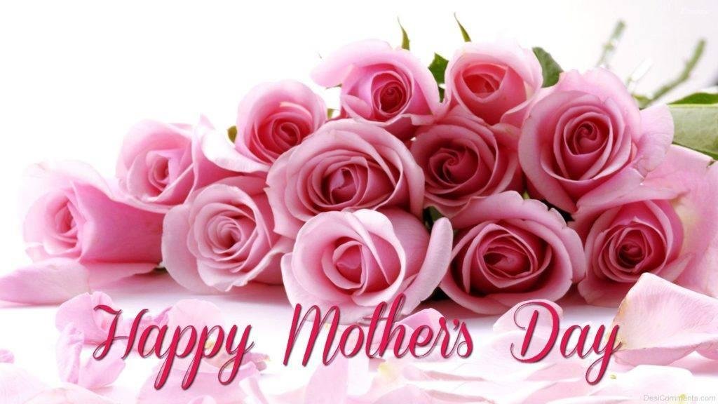 Esther Roche's album, Timeline Photos