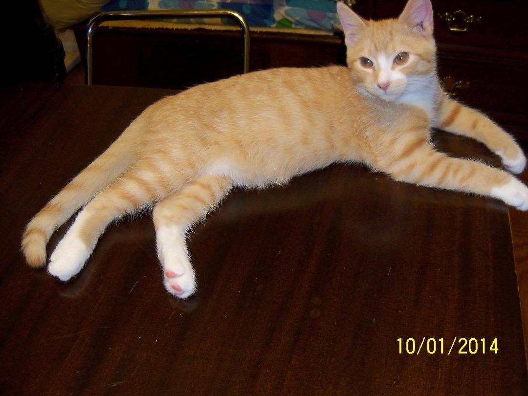 Spencer 4 months one of new additions.