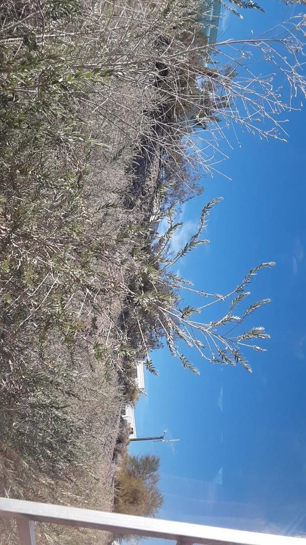 This is my view from my bedroom in my RV