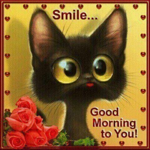Eva Potts' album, Timeline Photos