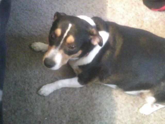 Miss Tuxie when little...lol