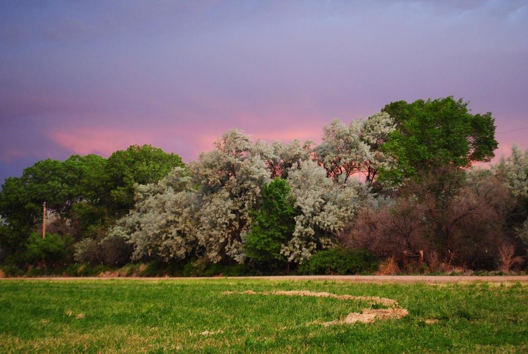 This is a picture that we took from our front porch this evening. This is why we moved here. I am so very lucky!!!