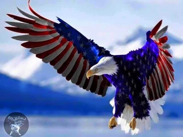 When you look at this picture how can you not be proud to B a American