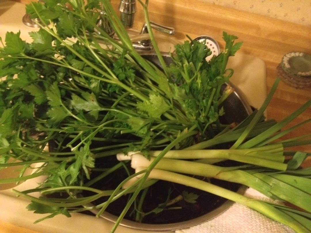 Last of my garden tonight...3 stalks of Celery, and about 6 Leeks...plenty of parsley left.... It's going to get to 27 degrees tomorrow so that's the end of summer/fall.......!!