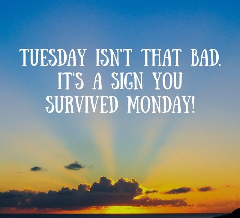 Jan Varney MacKay's album, Timeline photos