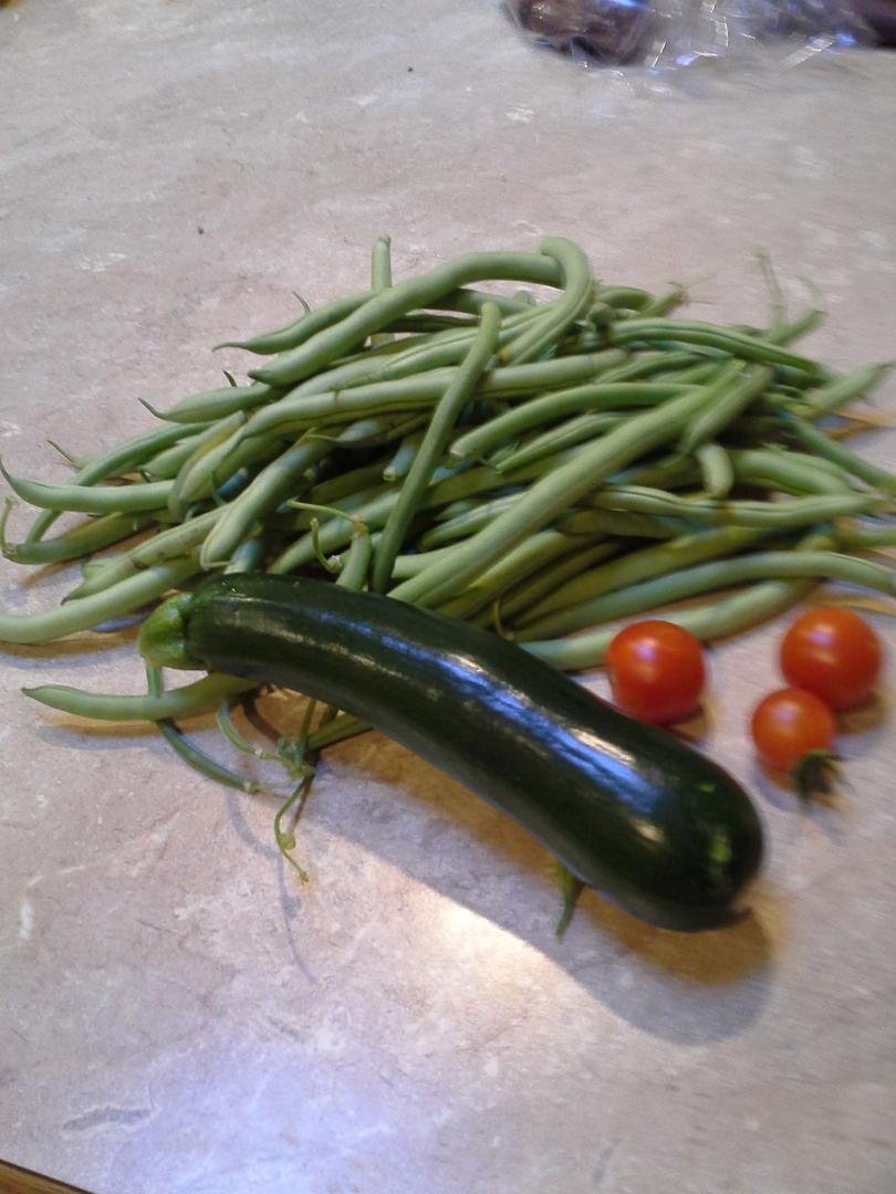 First bounty from our garden.