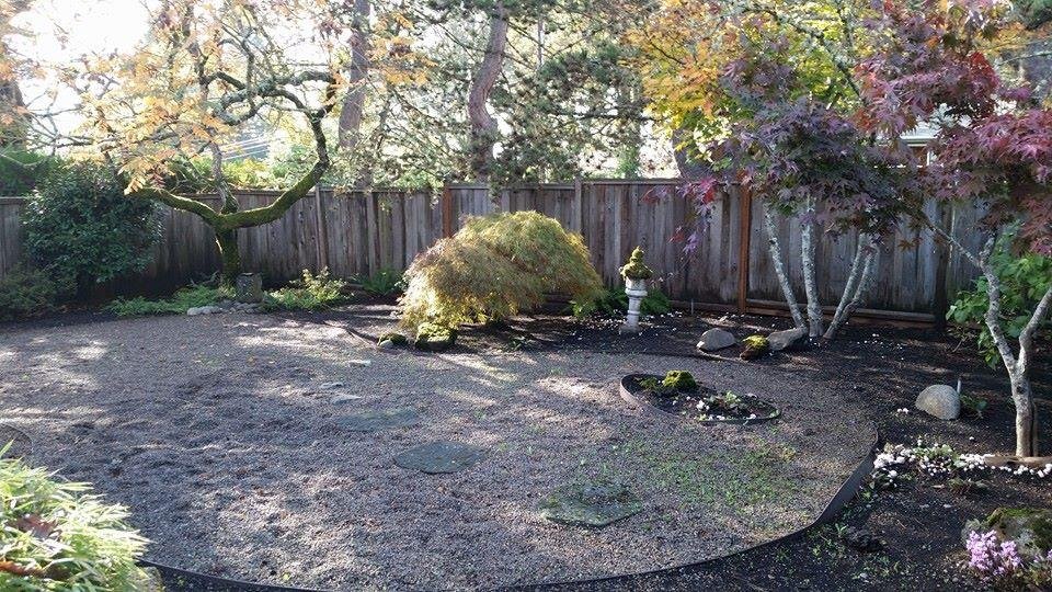 Fall in Salem, OR.....our front yard.