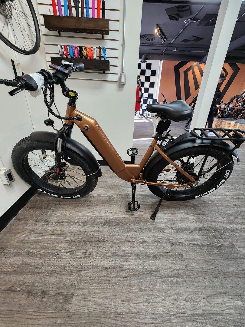 MJM STF21Y step thru fat tire with 845 km c/w horn, spring seatpost, left side mirror.$1450. Selling to get a larger frame size ebike.
