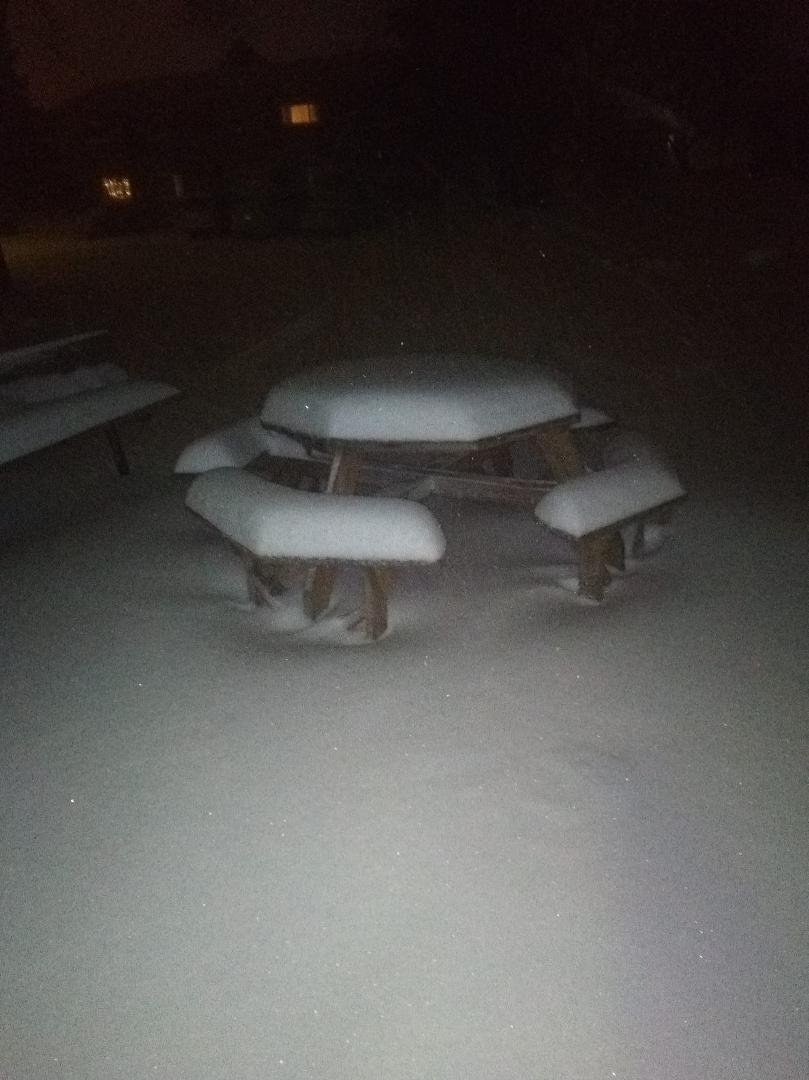 This is the picnic table out by the main entrance