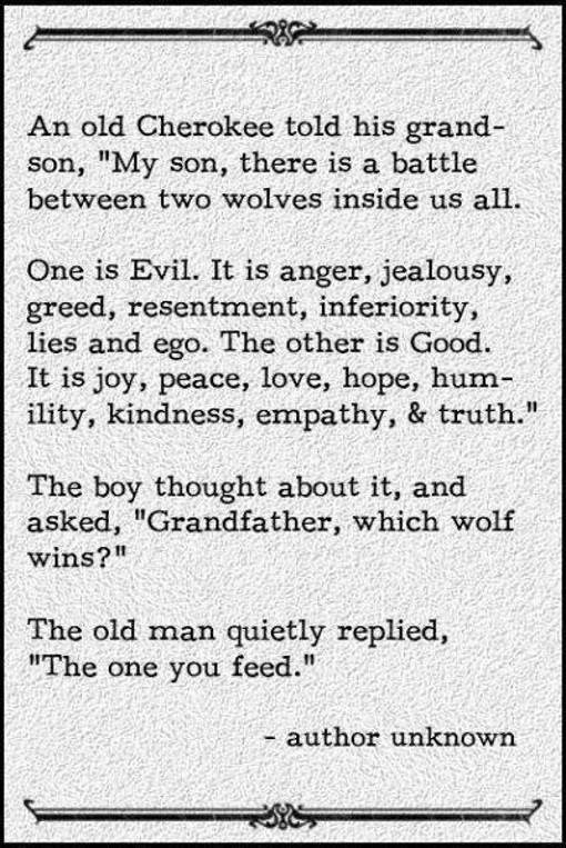I may have posted this before but thanks to Brenda H. I am reminded of the importance. Which wolf do you feed?