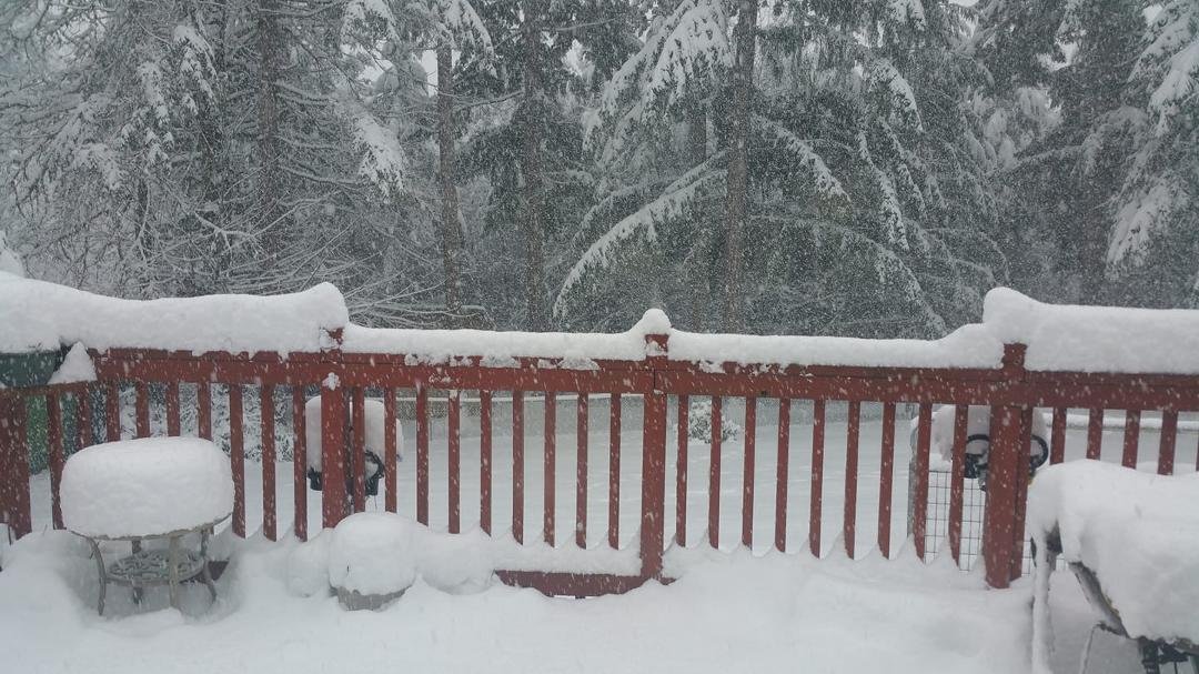Notice the deck rail. I cleaned the snow off the 2 middle sections this morning. Compare with the 2 sections on either side. Also notice the yard chair to the right side to get an idea of the amount of snow we are getting.