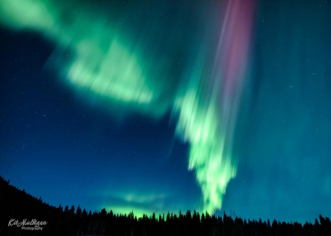 Going back through images from our Fairbanks trip last March. This was a phenomenal night of watching the Aurora dance. Best viewed full size.