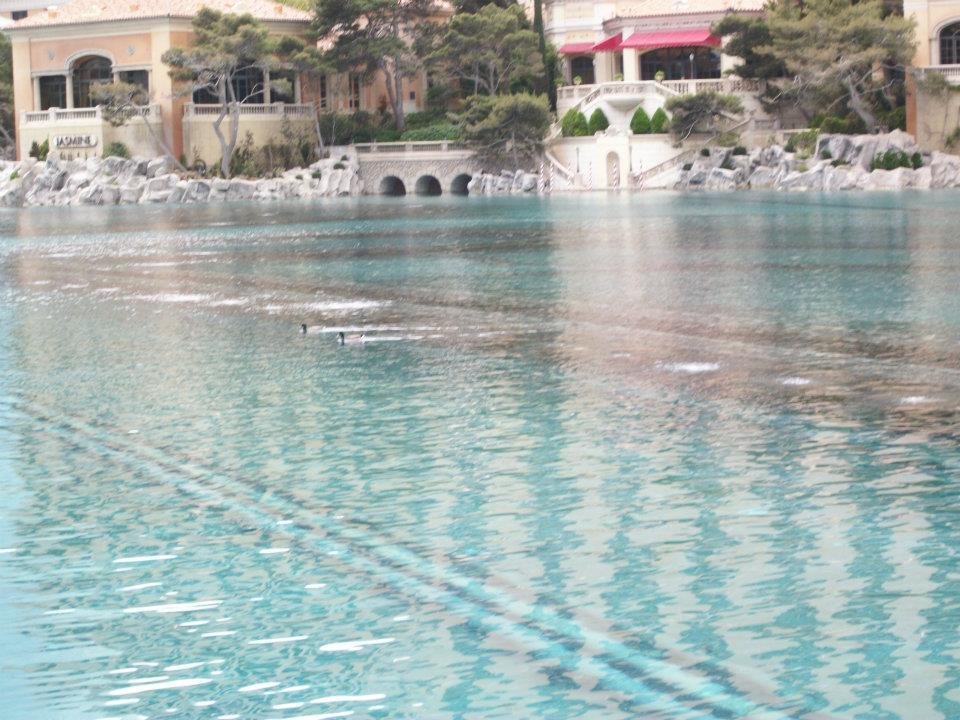 Stephen Shaw's album, Las Vegas Trip 2011
