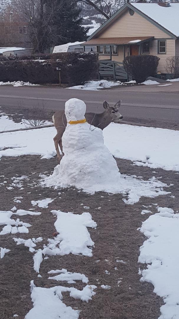 The snowman may be missing his carrot nose this morning.