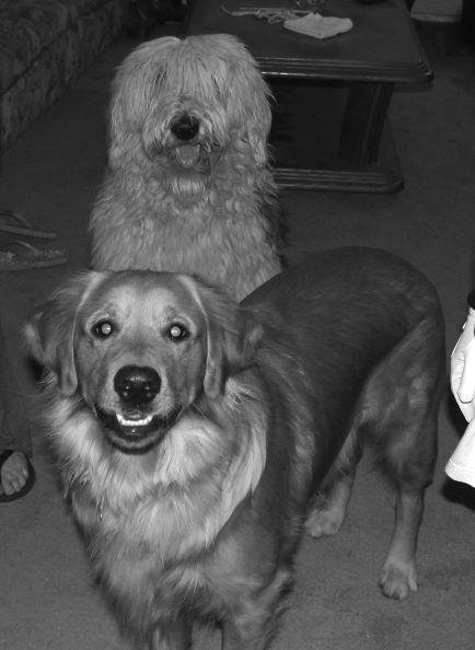 Day 4 of 7. Black and white photos of your life. No people. #noexplanation