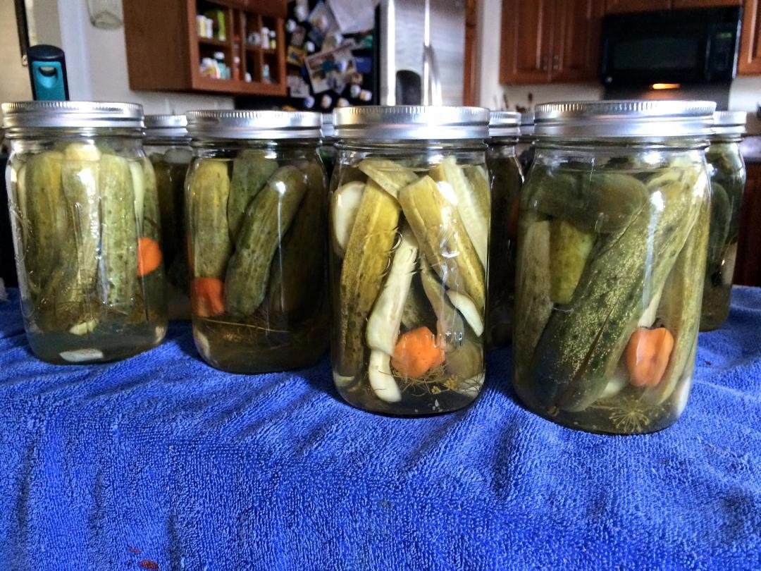 So excited for these fire and ice pickles!! Can't wait to see if we figured out how to take them from cukes to these delicious pickles without the middle step. Guess we'll find out soon!!