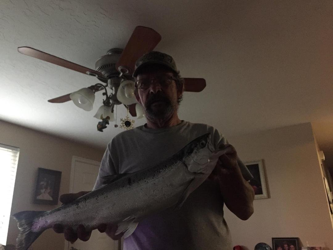 Ronald Rust's album, Mobile Uploads