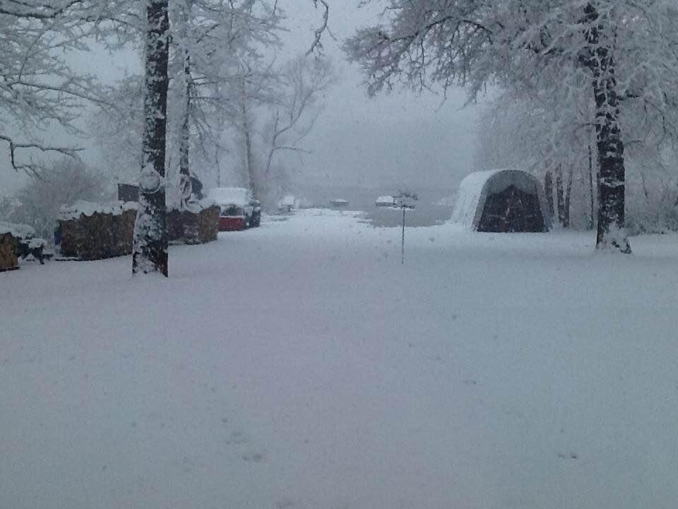 Today!! This is what it's doing to our spring flowers!!