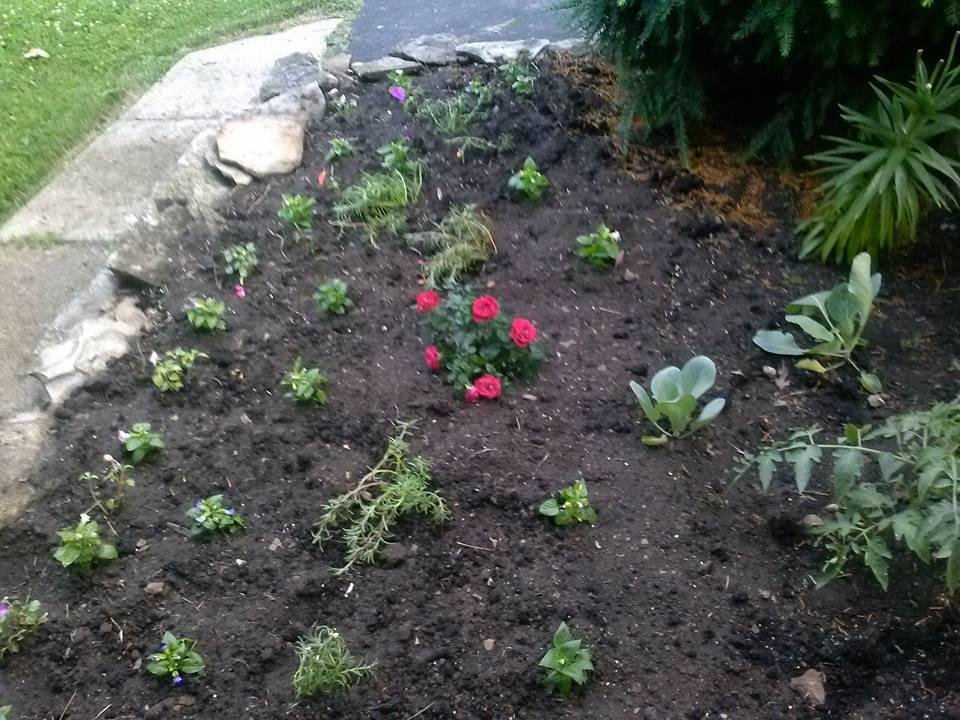 I just planted my little garden. I love this time of year