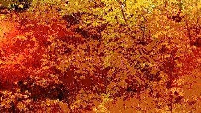 Adele Mariani's album, Mobile Uploads
