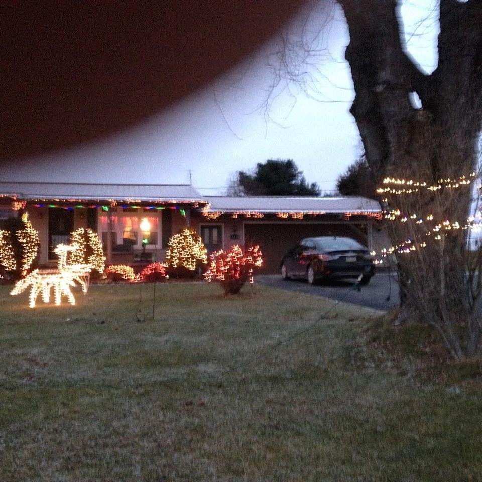 Front yard..