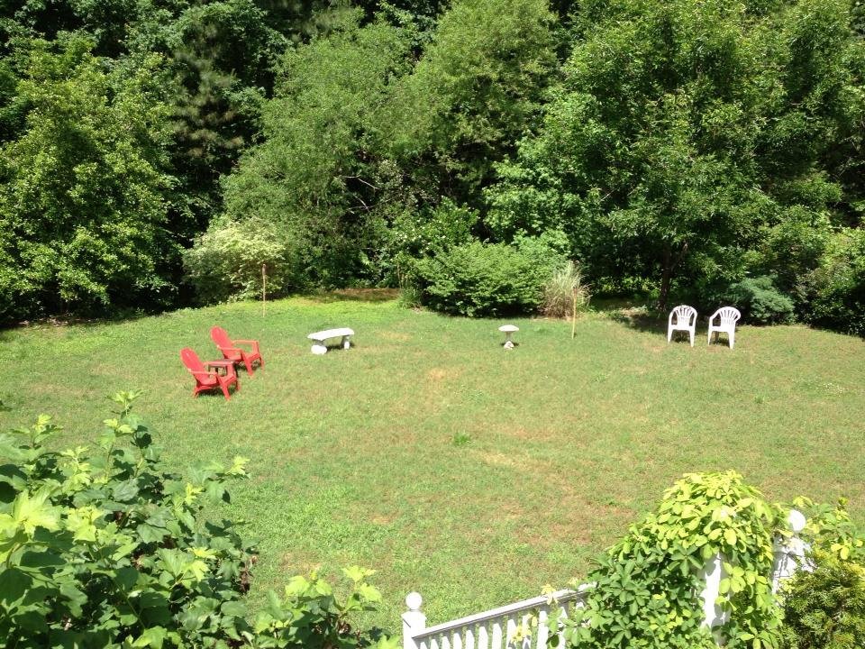 My yard from deck