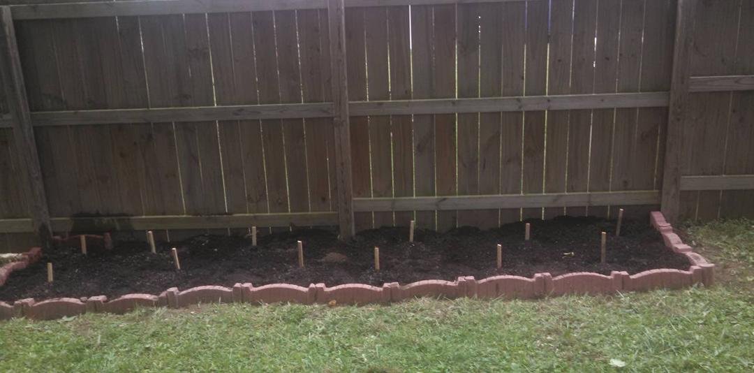This weekend's project.