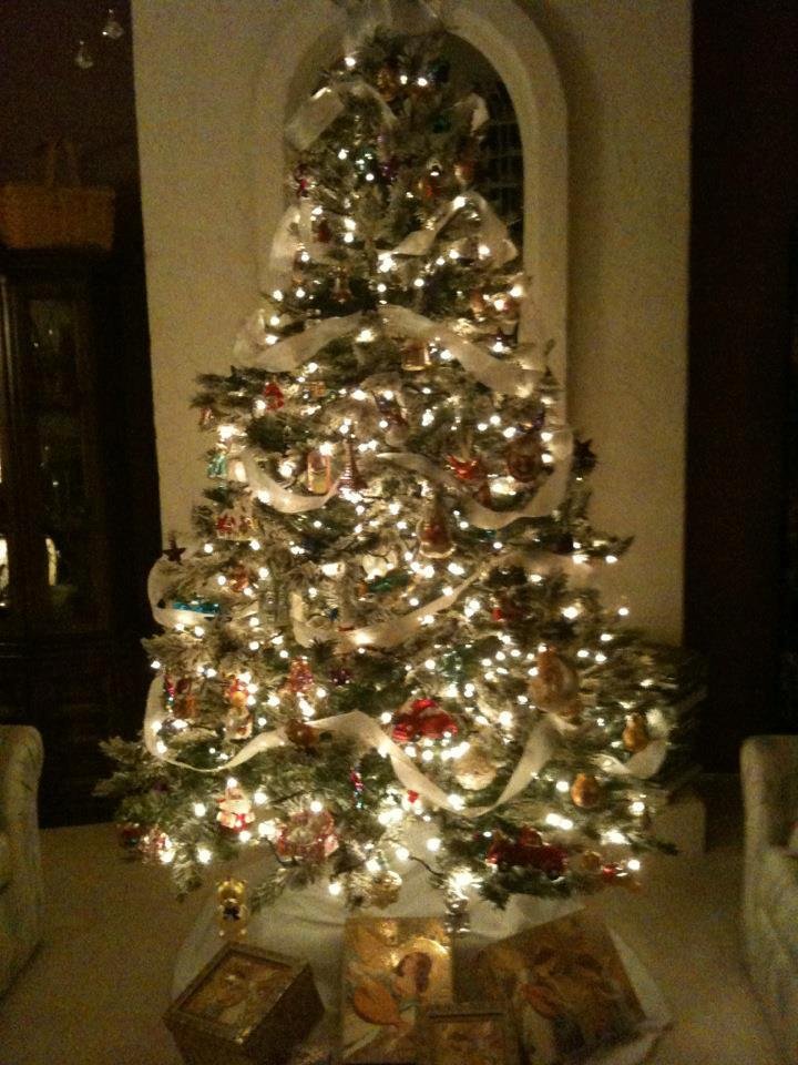 Okay, Sister, here are some photos of my two Christmas trees! European glass ornaments on the living room tree