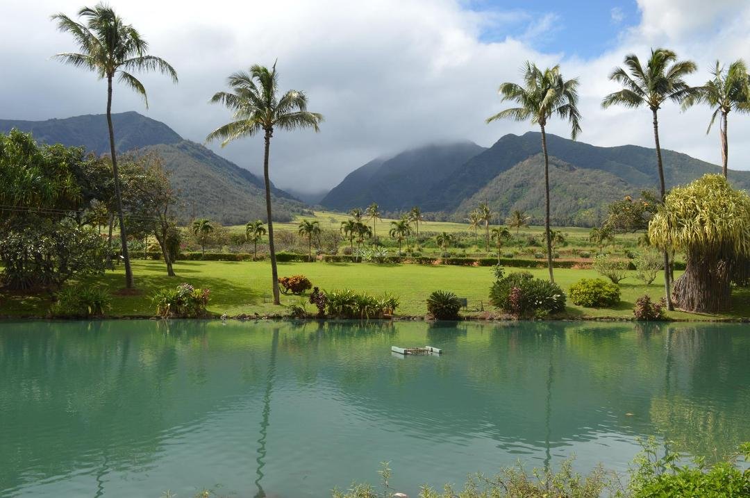 We hit Hilo, Oahu and Maui last week. This was the last day on Maui.....Nice. We were supposed to go to Kaui, water was too rough to dock the ship.