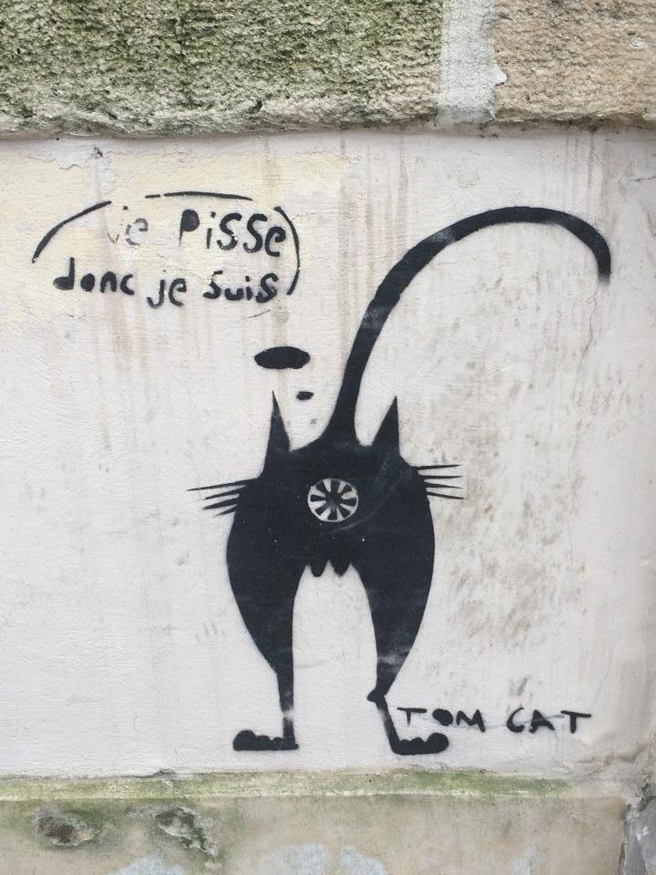 Descartes' kitty, Place François 1er