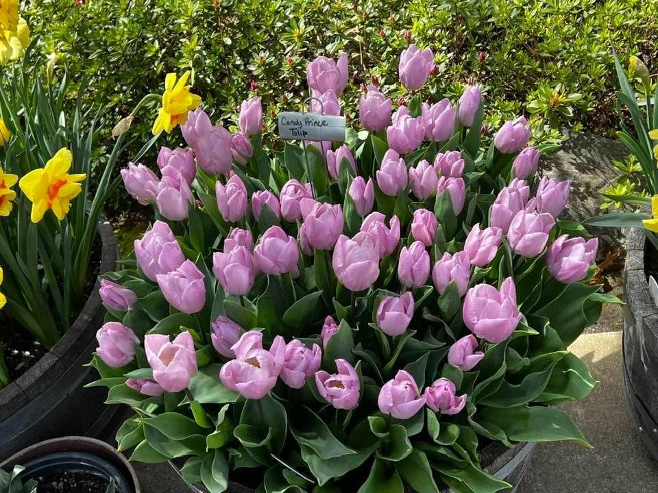 Richard (Rick) Gerhardt's album, Timeline photos