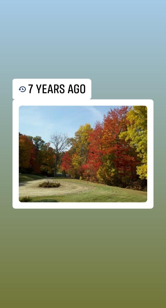 Lots of color 7 years ago..... nothing so far this year, everything is still green.