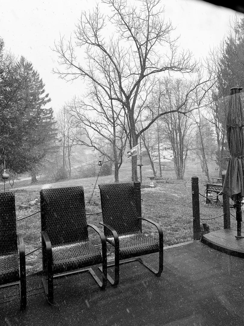 Foggy foggy snow
Last day of March