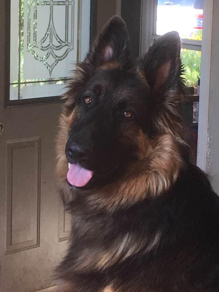 My handsome guy!