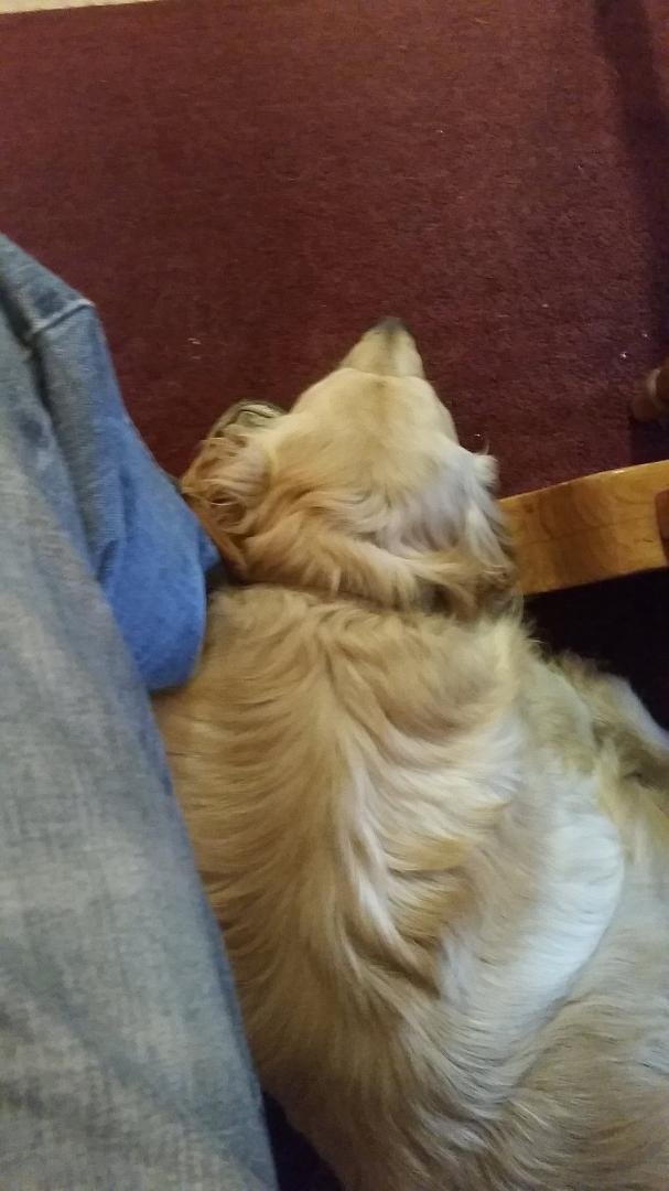 Ya think he's my dog?! Lol