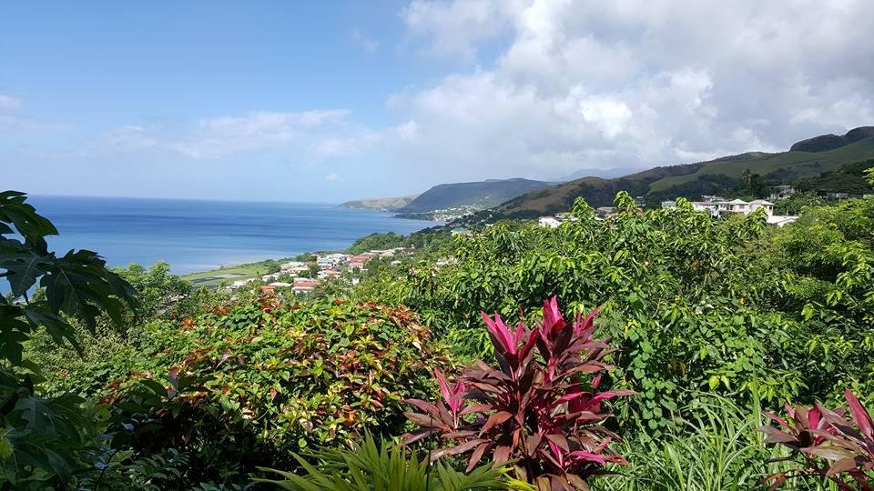 Marcy May's album, Timeline Photos