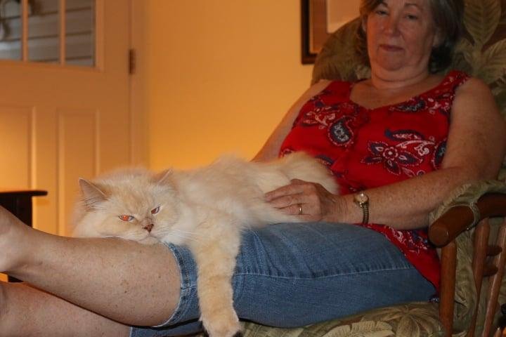 Robert Embry's album, Timeline photos