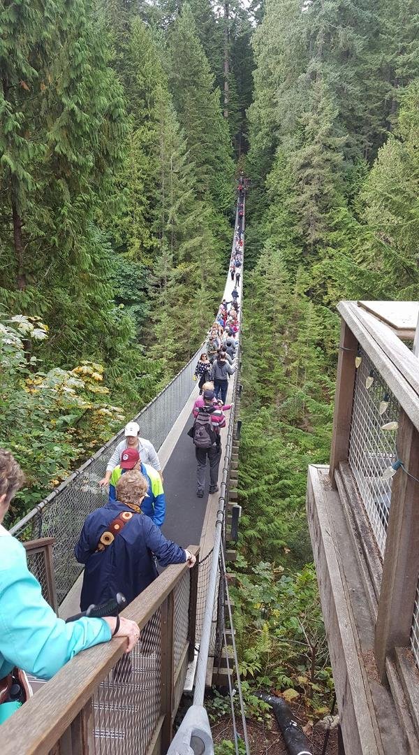 Crossed the Capsilano Suspension Bridge in Vancouver before boarding the Celebrity Solstice.