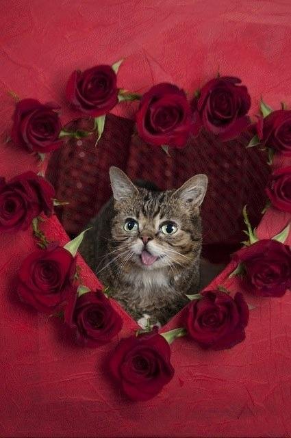 Happy Valentine's Day My Sweets!