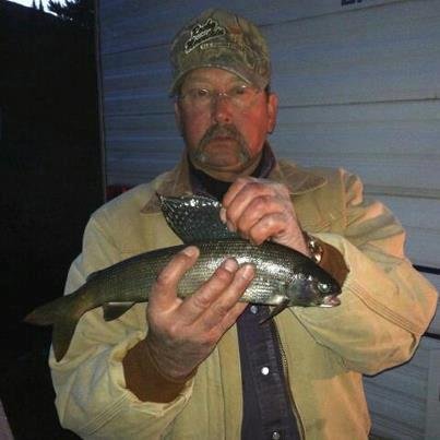 Grayling Trout