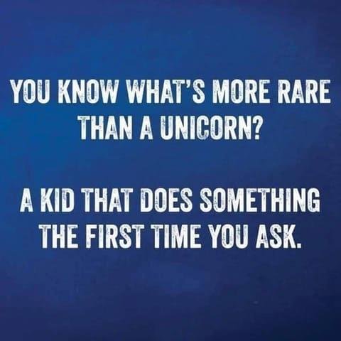 Tom Wiegand's album, Timeline Photos