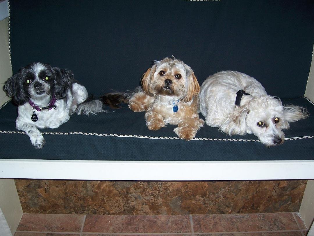 Rosco said " Mom and Dad and Grandpa went to Hawaii, and all I got was time with my cousins" Leah and Scooter.