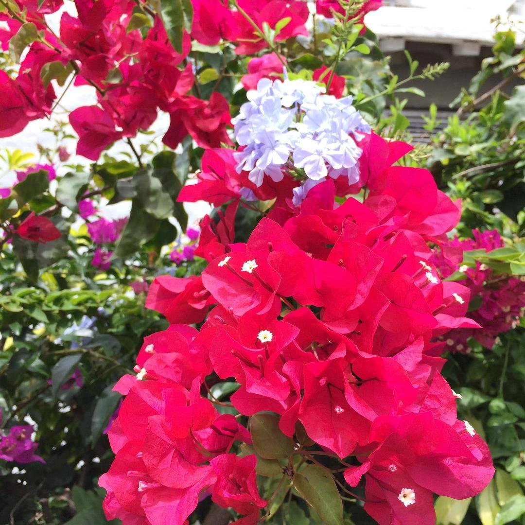 Andrew Outerbridge's album, Timeline Photos