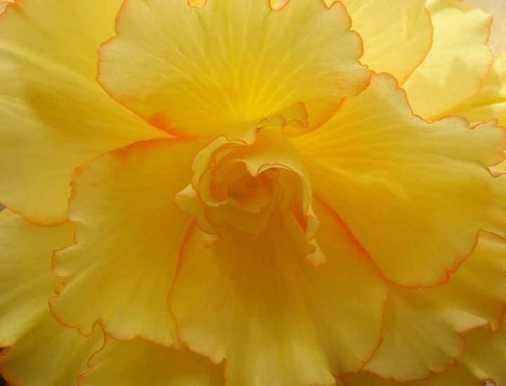 Lorrie Tidwell's album, Mobile Uploads