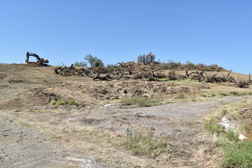 A lot of good mesquite going to waste in Irving? It's not that there's ever a shortage in Texas!